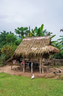 Simple house