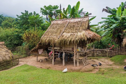 Simple house