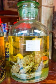 Rice wine with Tokay geckos (Gekko gecko)