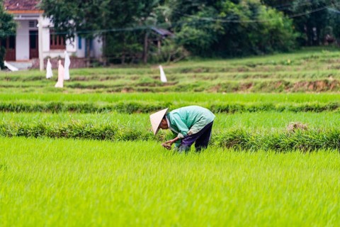 Worker