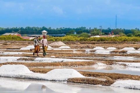 Salt mine workers walking through water basin for salt extraction