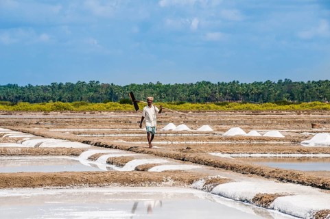 Salt mine workers