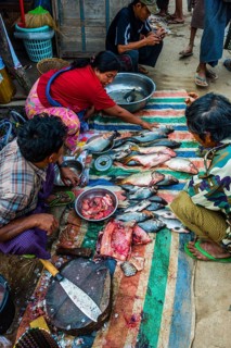 Market stand with fish on ground
