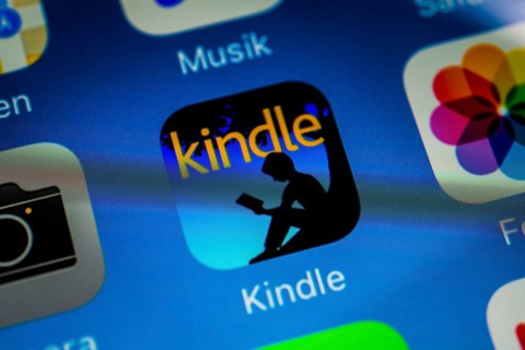 Smartphone screen displaying Kindle app in detail