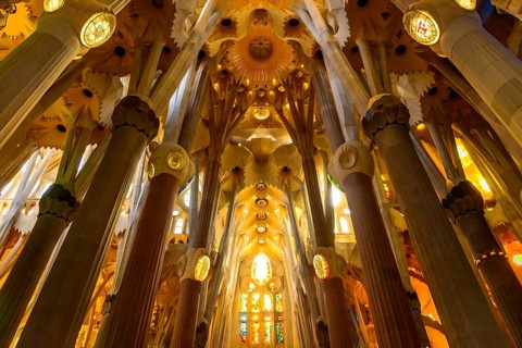 Interior view ceiling vault