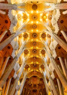 Interior view ceiling vault