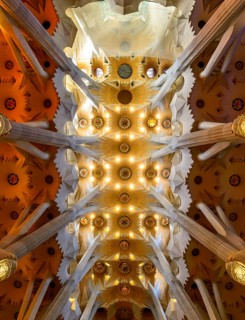 Interior view ceiling vault