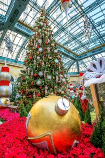Foyer with Christmas decoration