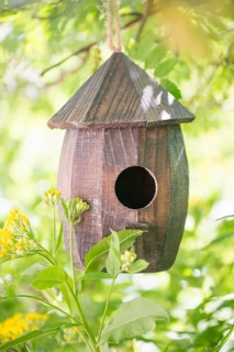 Wooden birdhouse hanging from tree