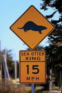 Traffic sign Caution Sea Otter