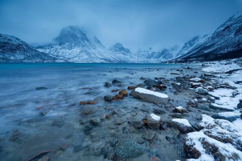 Winter landscape