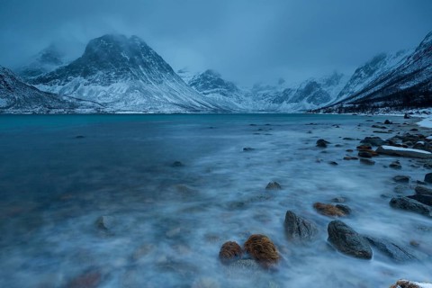 Winter landscape