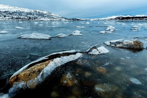 Frozen fjord