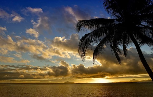 Sunset with palm tree on the beach of Ankify