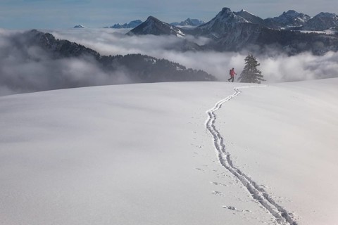 Ski tour