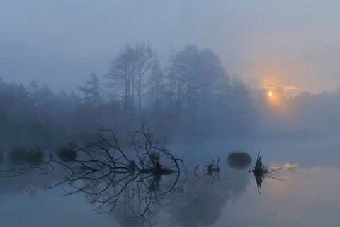 Schwenninger Moos nature reserve with early fog at sunrise