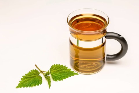 Nettle Tea (Urtica dioica)