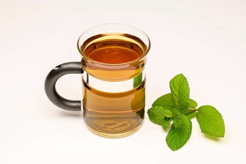 Peppermint tea (Mentha x piperita)