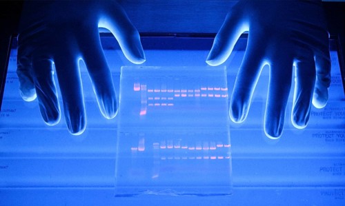 Chromatography is illuminated with UV light