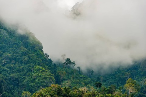 Karst mountains shrouded in clouds
