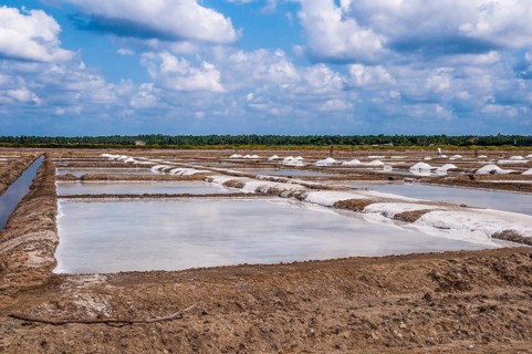 Water basin for salt extraction