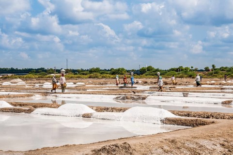 Salt mine workers