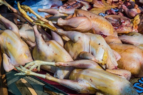 Market stand with poultry