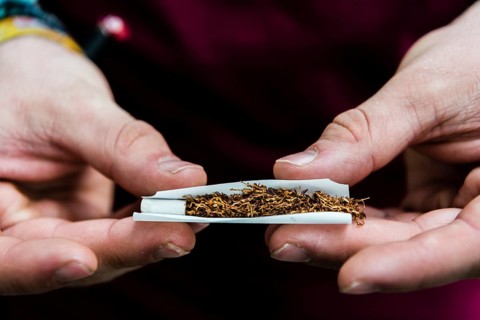 Hands rolling a cigarette with tobacco and filter