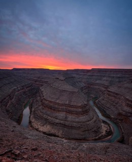 Goosenecks at sunset