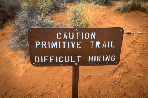 Caution Primitive Train