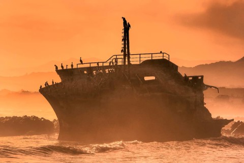 Cormorants atop shipwreck