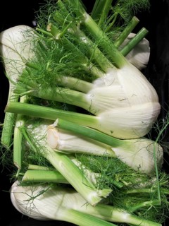 Florence fennel (Foeniculum vulgare var. azoricum)