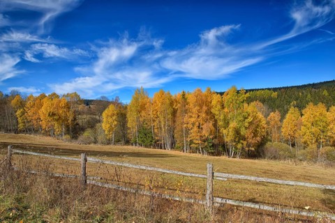 Autumn in the Sumava National Park