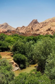 Oasis in Dades Gorge