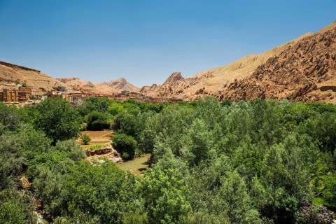 Oasis in Dades Gorge