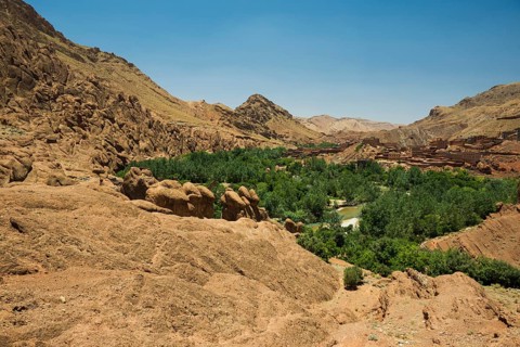 Oasis in Dades Gorge