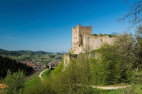 Ruine Neu-Schauenburg castle ruins