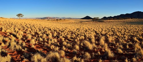 View over NamibRand Nature Reserve