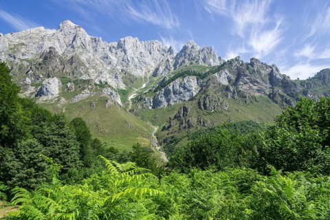 Mountain