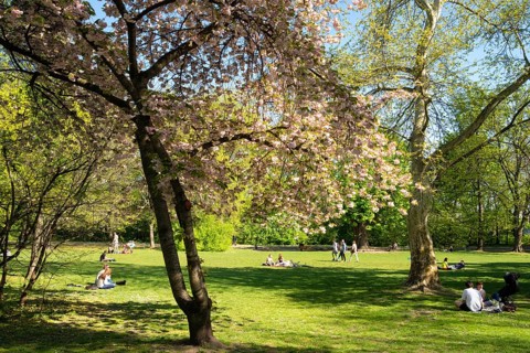 Park on Margaret Island