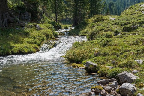 Mountain stream