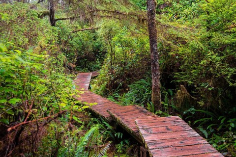 Boardwalk