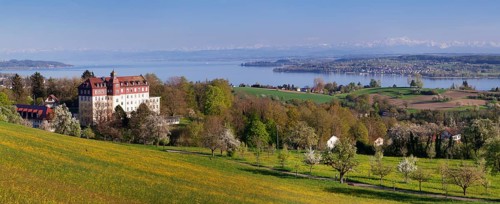 View of Spetzgart Castle over Lake Constance to the Alps