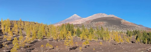 Volcanoes Pico del Teide and Pico Viejo