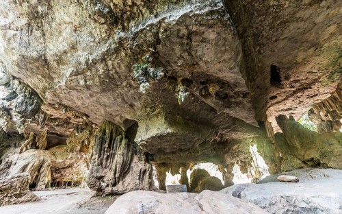 Stalactite cave in the jungle
