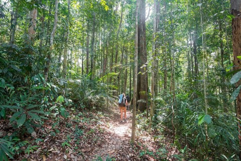 Hiker
