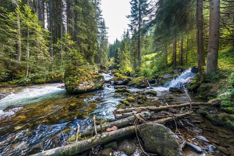 Untertalbach
