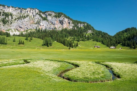 Wurzeralm