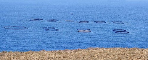 Coast of Playa del Gozo with fish farms