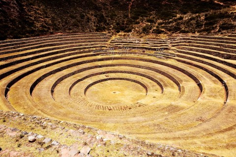 Inca terraces in the Sacred Valley